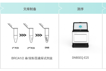 守护女性健康！华大智造DNBSEQ-E25助力乳腺癌与卵巢癌防控